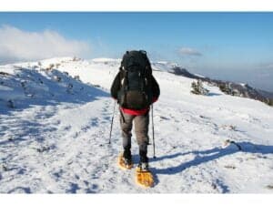 Top 5 des meilleures croisières pour les amateurs de sports d'hiver 