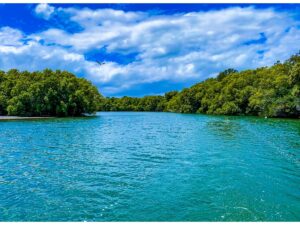 Les croisières pour les amateurs d'histoire et de culture